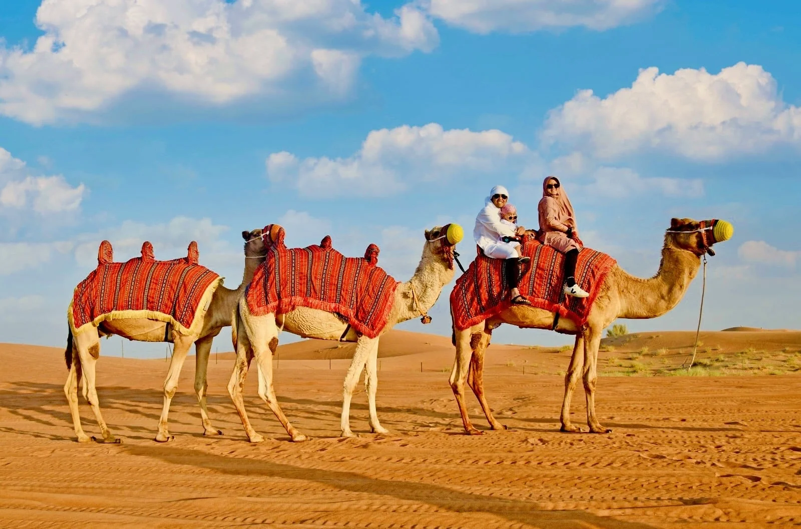 Read more about the article Camel Ride in Dubai